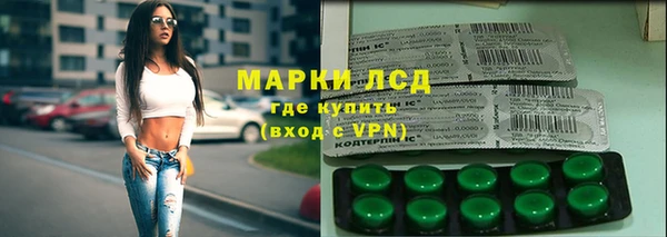 прущий лед Алзамай