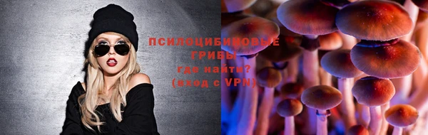 прущий лед Алзамай
