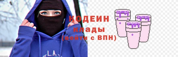 прущий лед Алзамай
