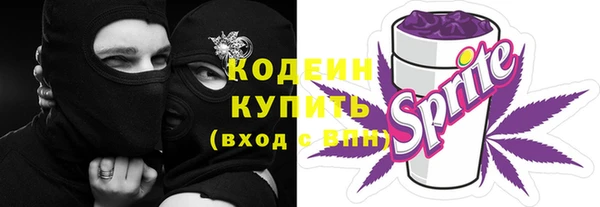 прущий лед Алзамай