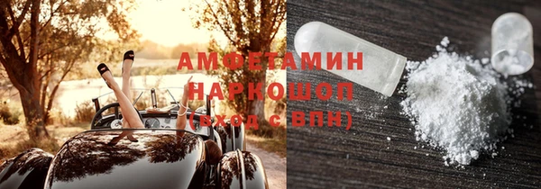 прущий лед Алзамай