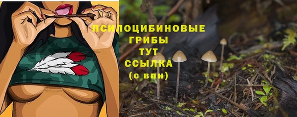 прущий лед Алзамай