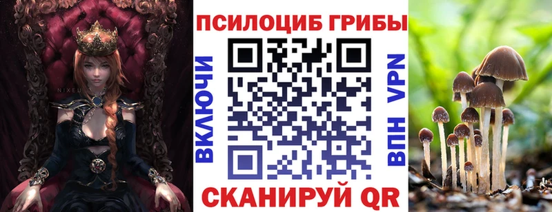 Псилоцибиновые грибы Psilocybe  купить наркотики сайты  Сосновка 